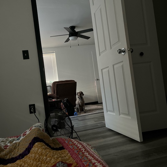 Dress - Picture 3 of 4